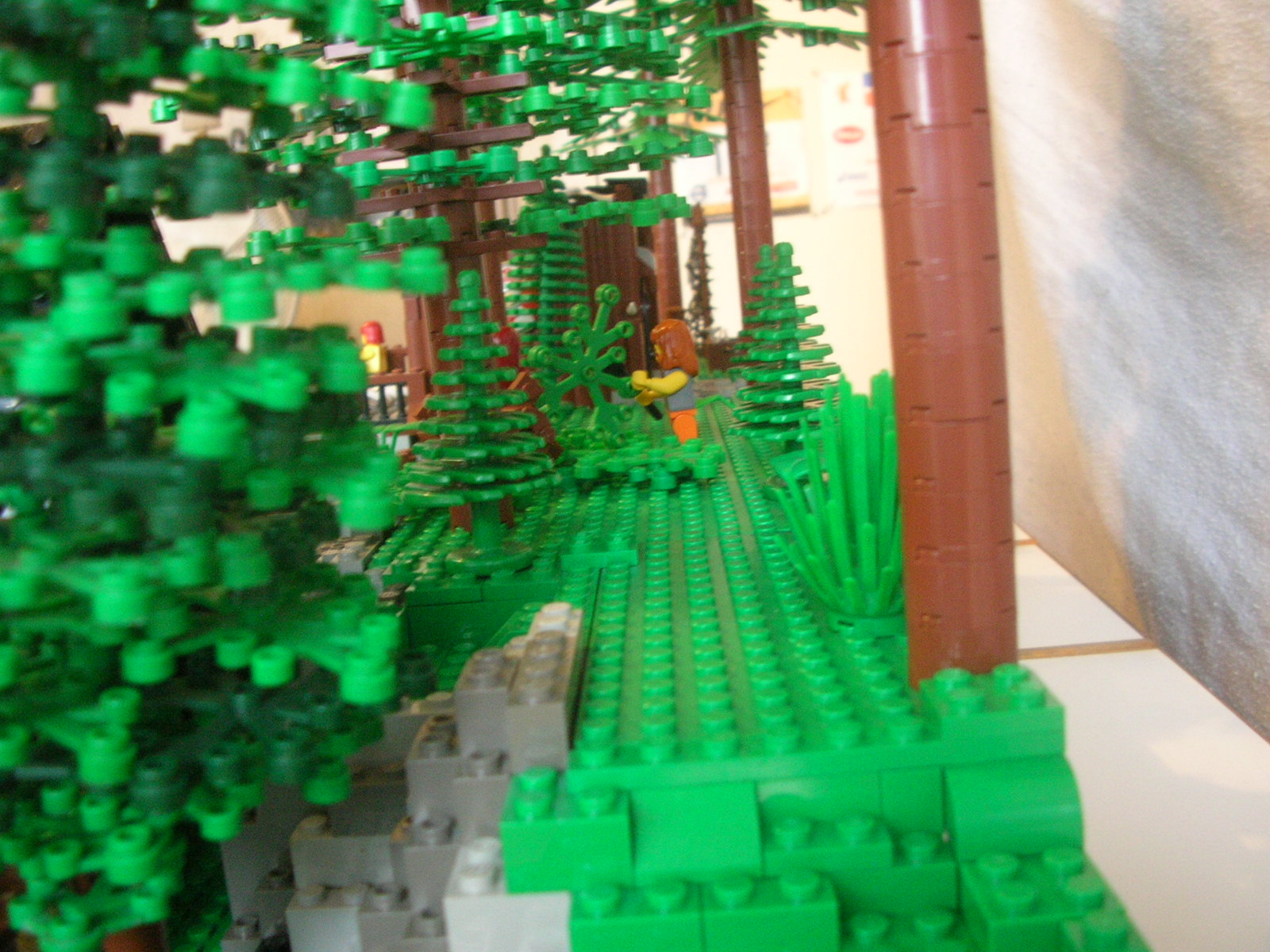 dscn7233.jpg