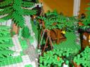 dsc08764.jpg