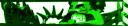 avakbannergreen.jpg