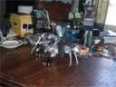 bbccthumbnail10.jpg