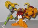 bbccthumbnail14.jpg