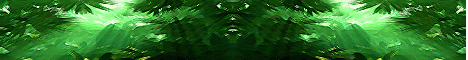 runbanner_final.gif
