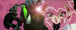nnbanner.jpg