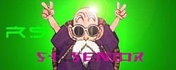 stsenior.jpg