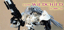 bbc30_banner1.jpg