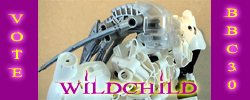 bbc30_banner2.jpg