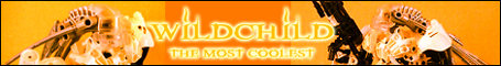 bbc30_banner3.jpg