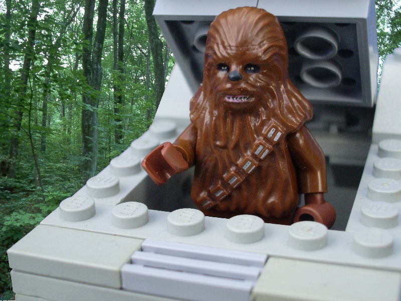 chewie_1.jpg
