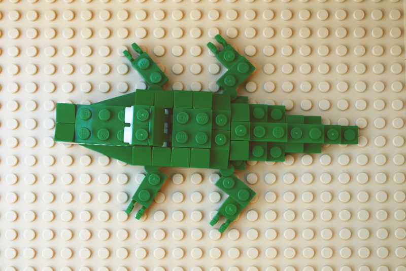 crocodile_03.png