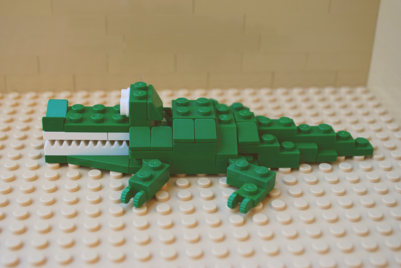 crocodile_05.png