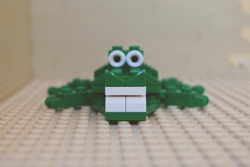 crocodile_06.png