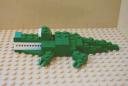 crocodile_05.png