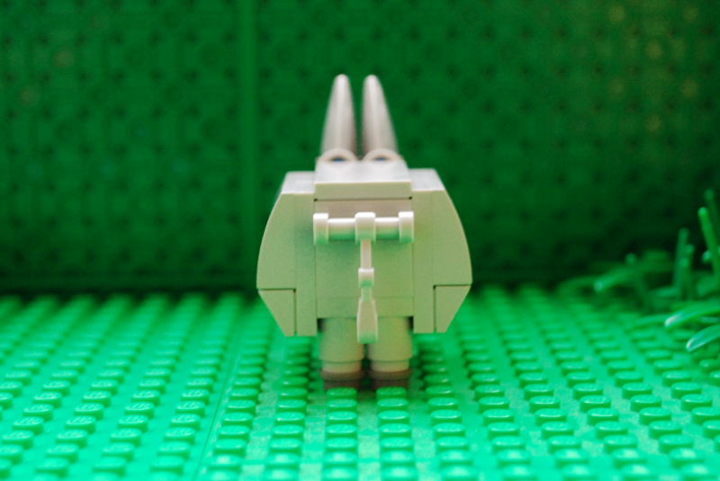 donkey_04.png