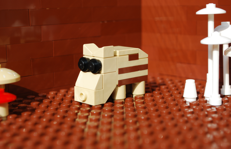 piglet_01.png