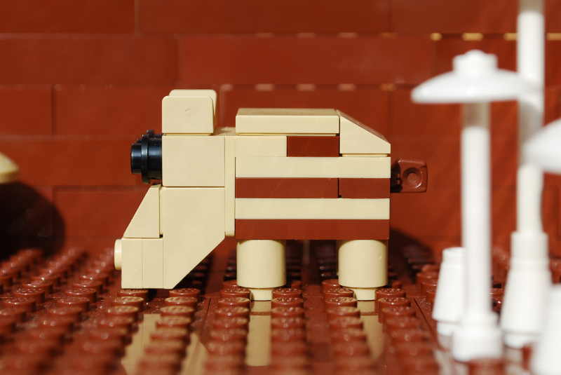 piglet_05.png