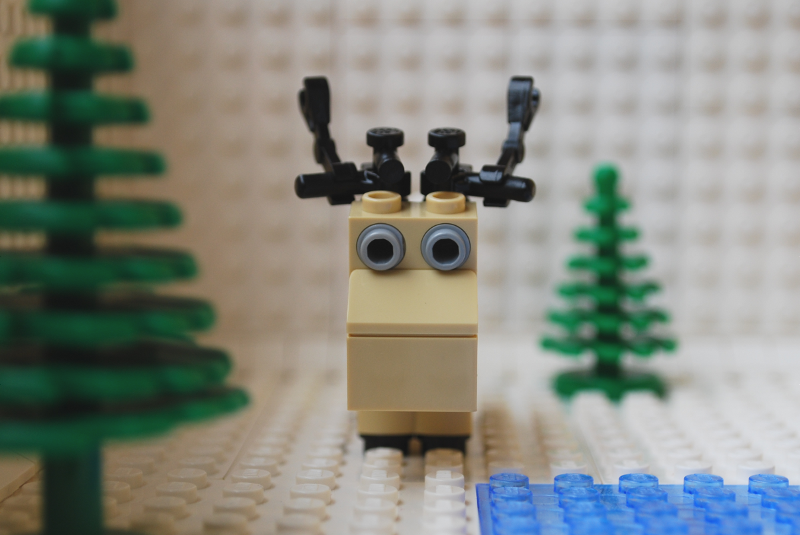 reindeer_06.png