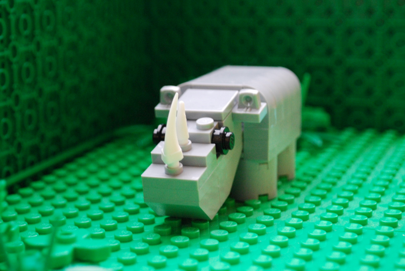 rhino_01a.png
