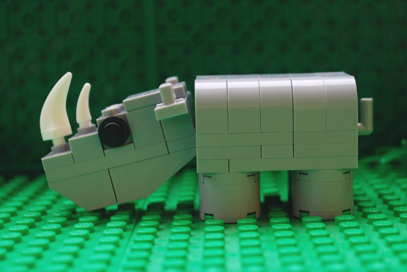 rhino_05.png