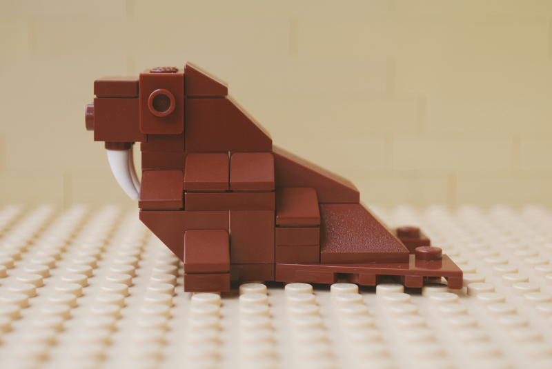walrus_05.png