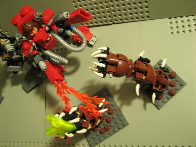 14.jpg