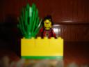 Vignette-Entry