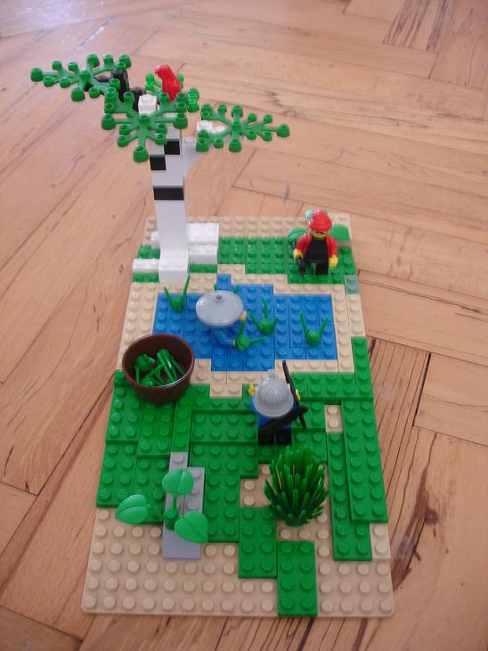 rice_fields_4.jpg