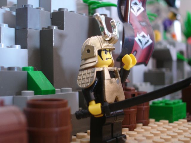 sam6.jpg