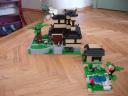 wip_village_1.jpg