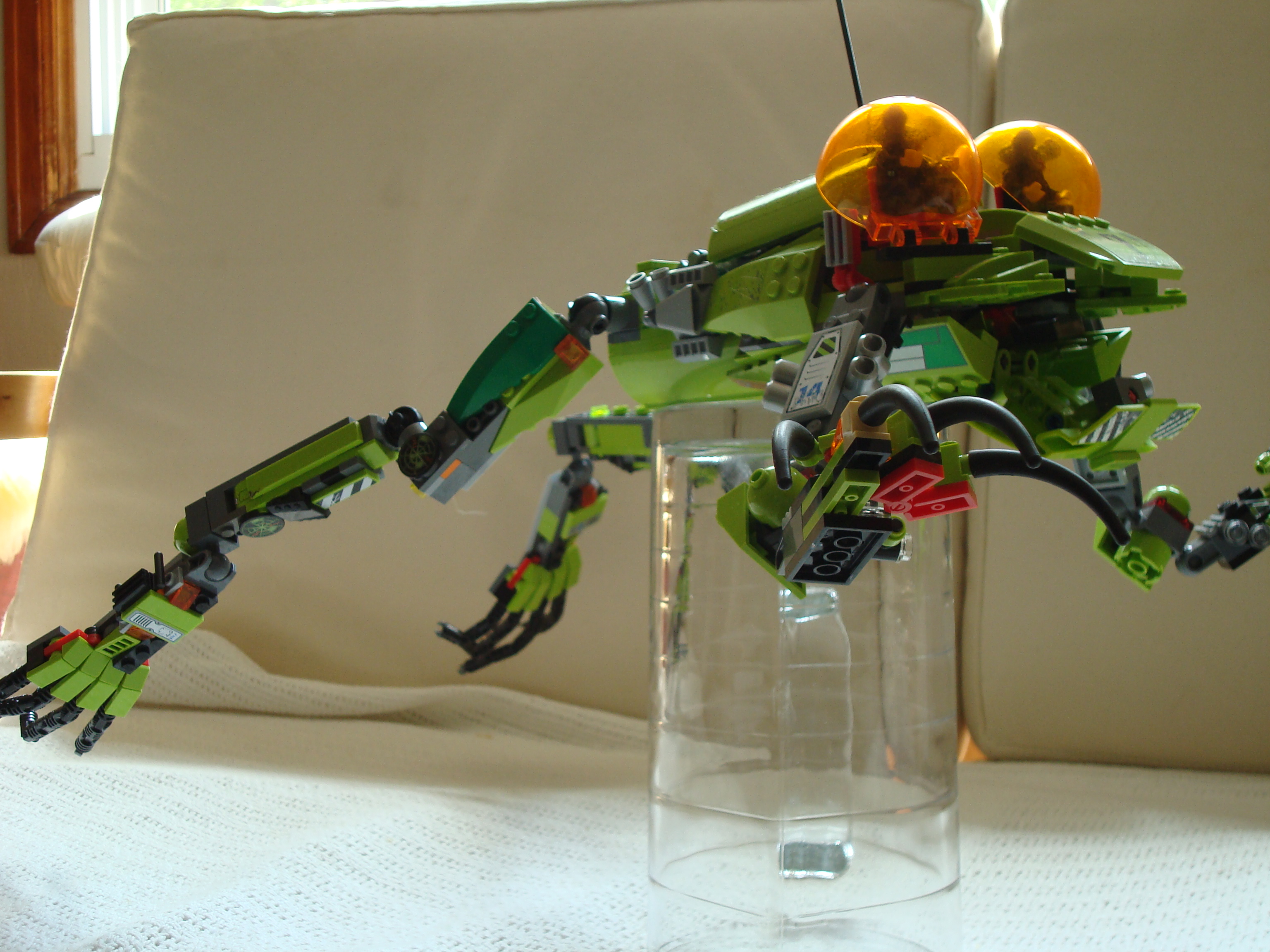 robofrog_001.jpg