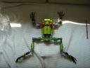 robofrog_022.jpg