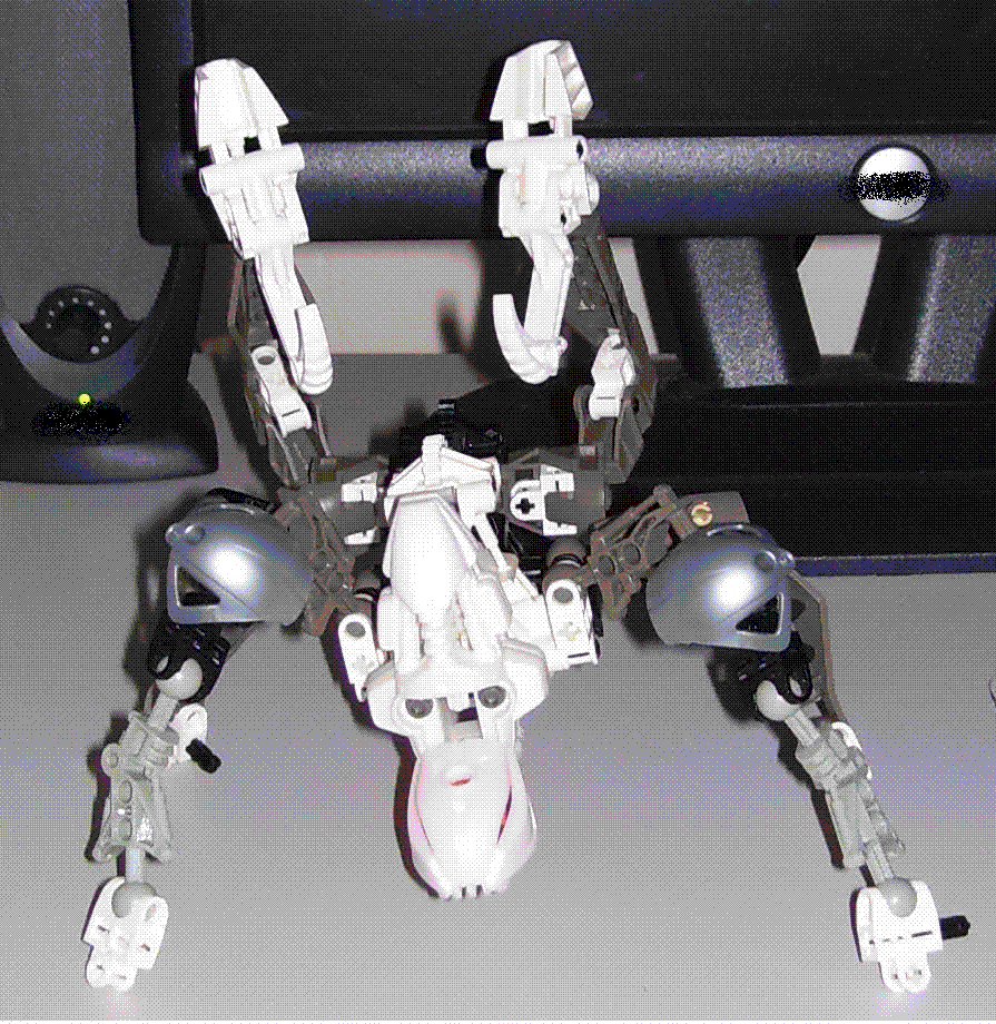 spider.gif