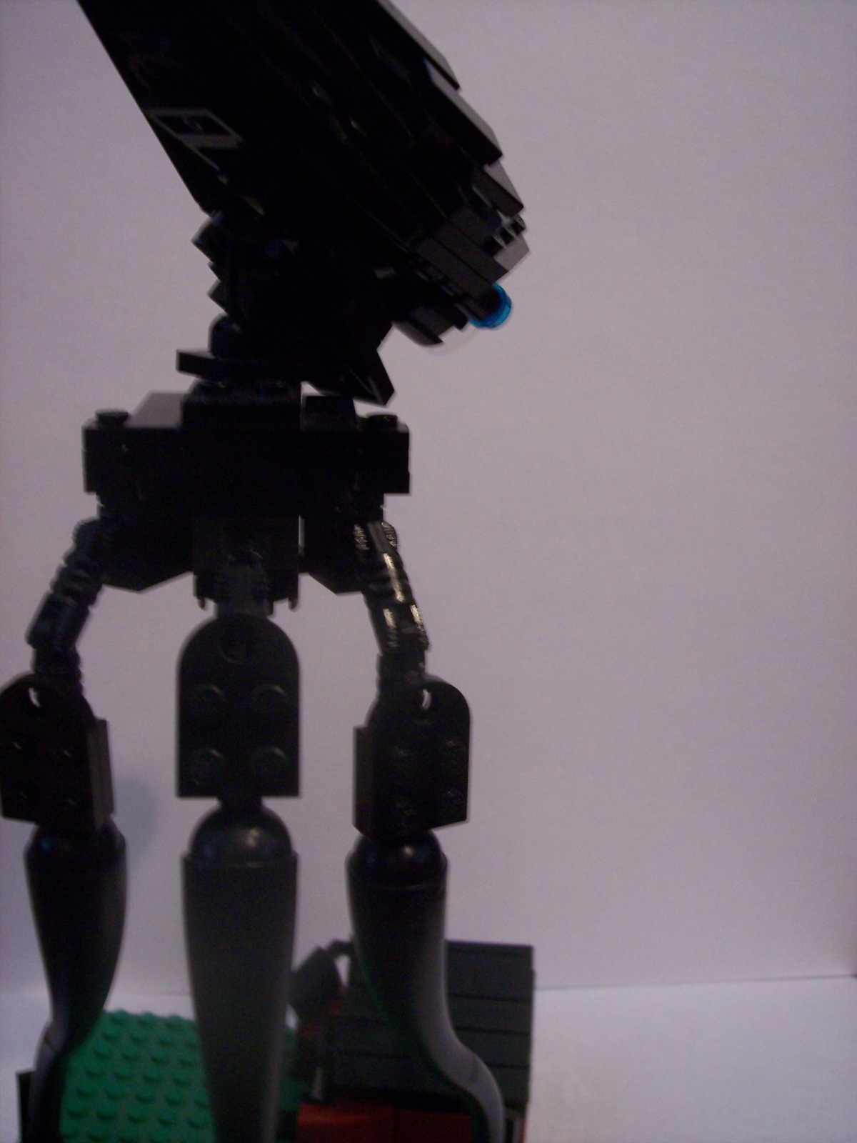 tripod-back.jpg