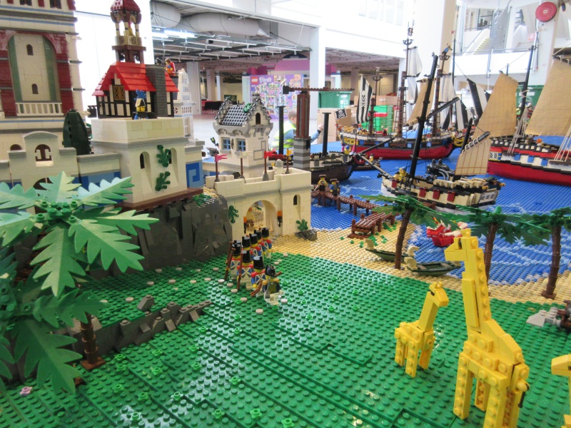 img_8012small.jpg