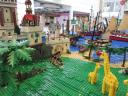 img_8012small.jpg