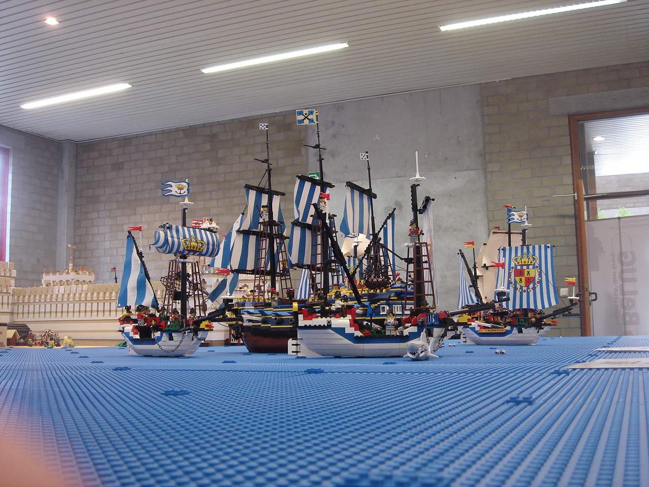 dsc09584.jpg
