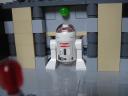 dsc07179.jpg