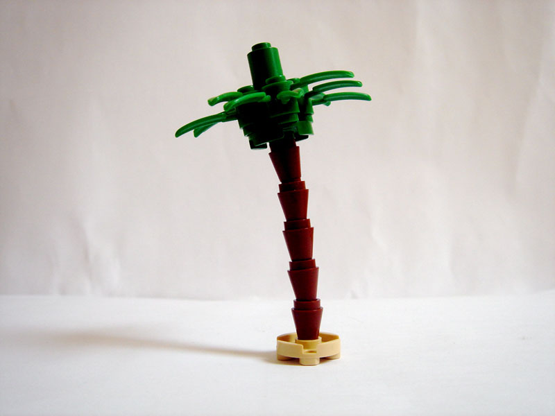 palmtree.jpg