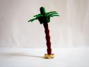 palmtree.jpg