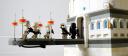 dsc00371.jpg