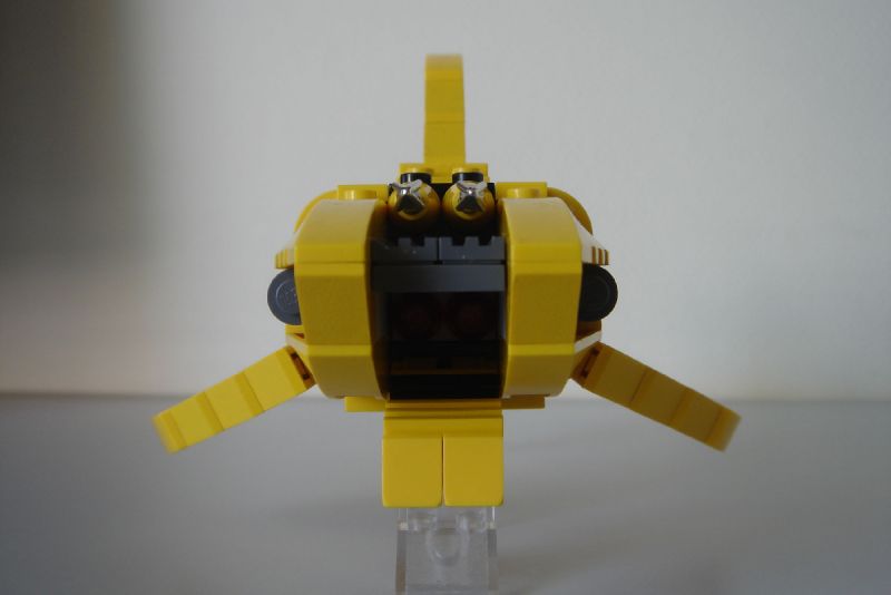 12503291243_display.jpg