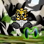 onua.png