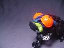dsc03193.jpg