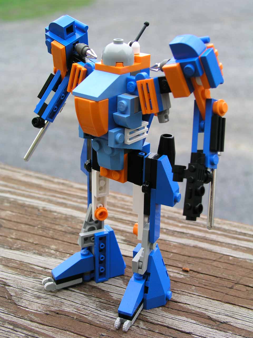 bluebot00-a.jpg