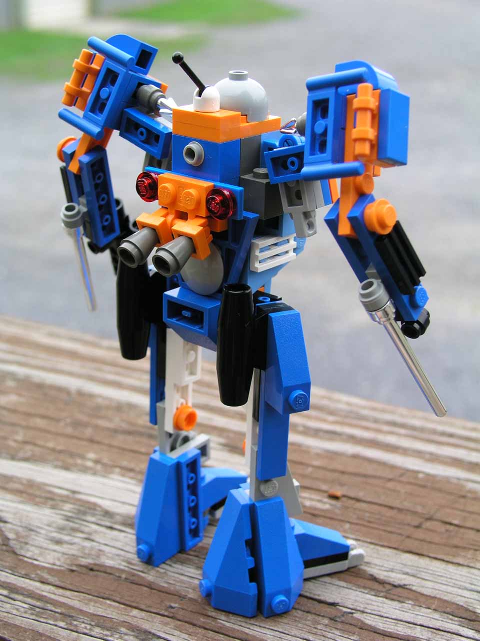 bluebot04-a.jpg
