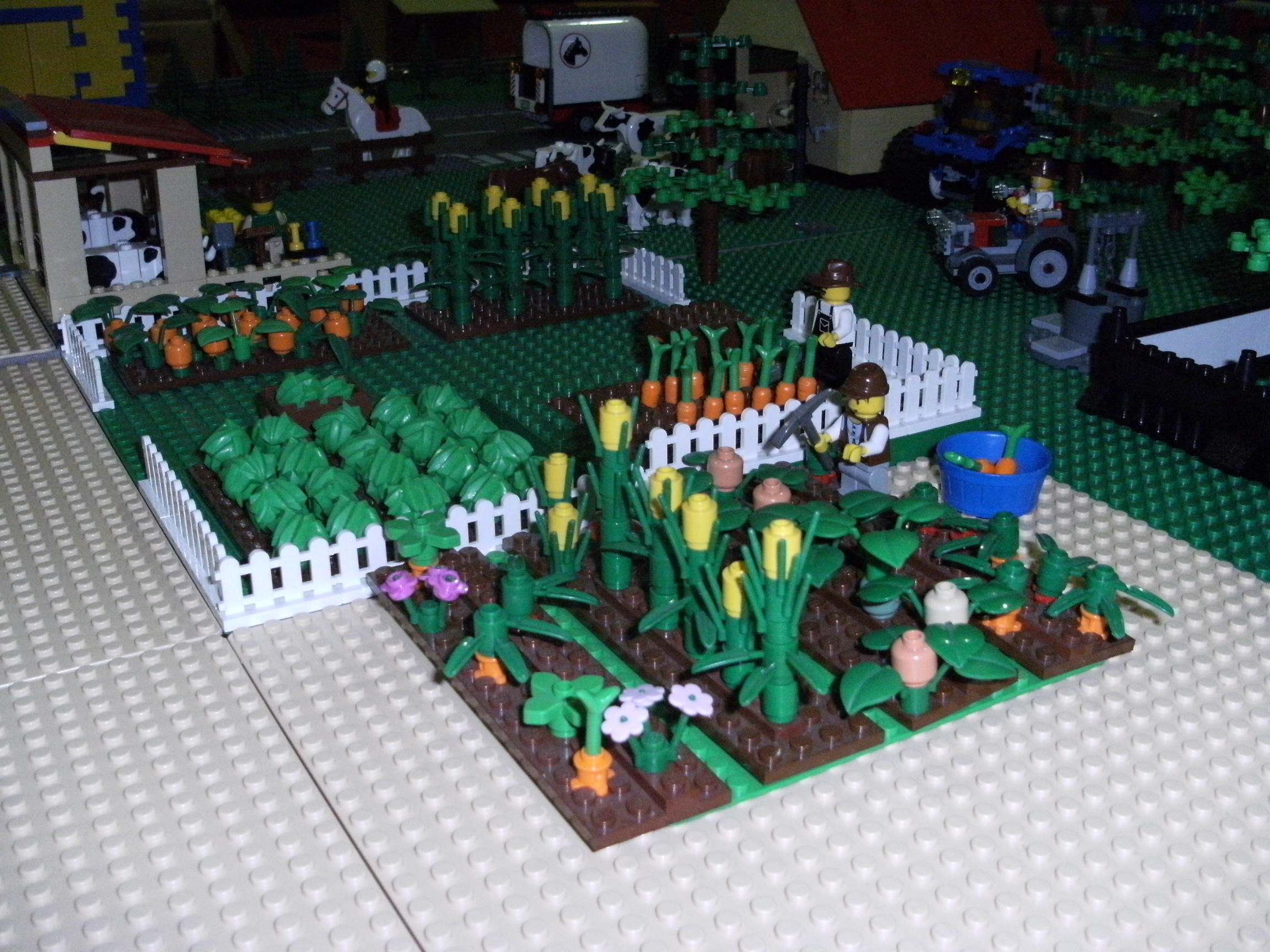 dscf1879.jpg