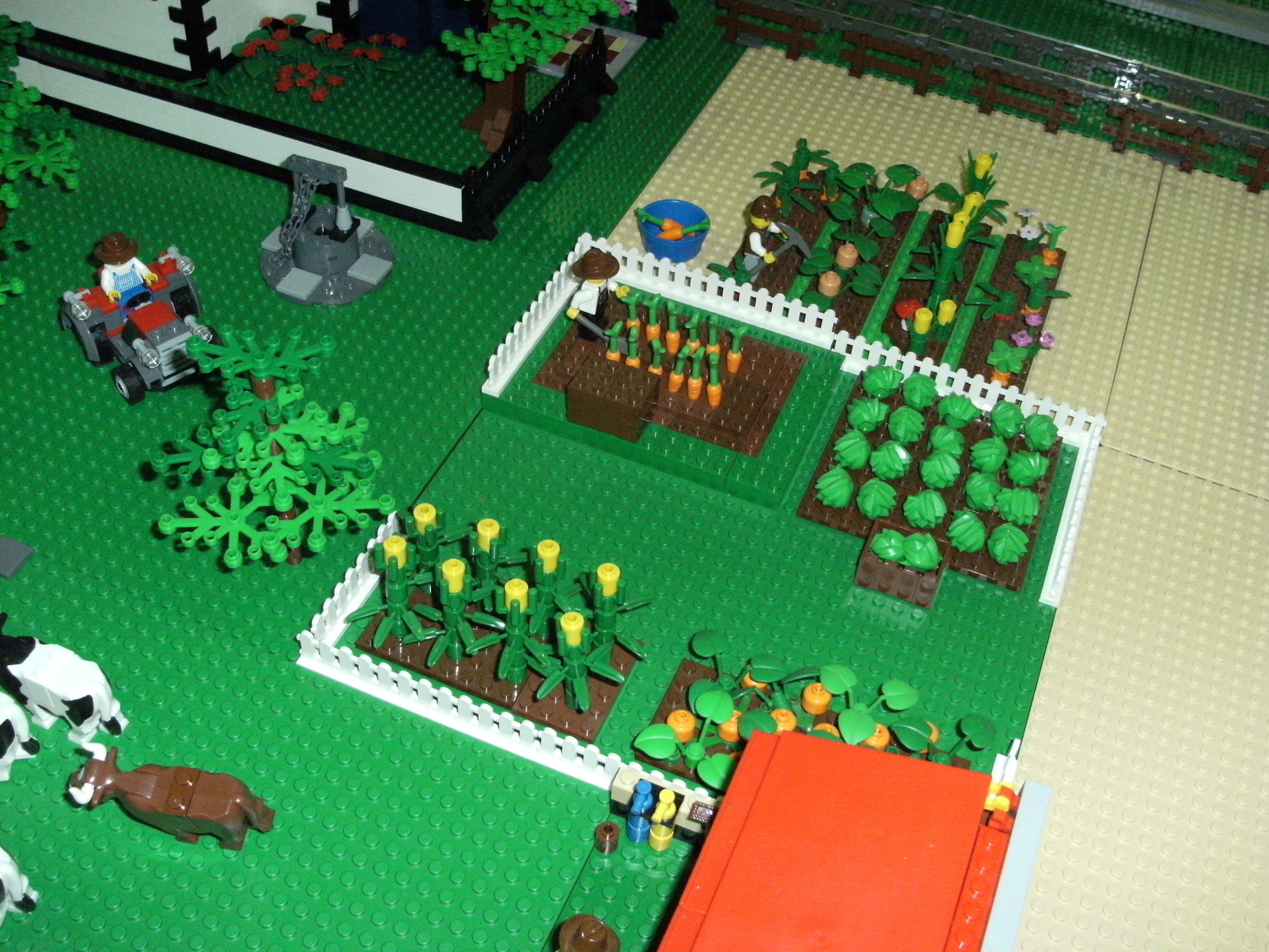 dscf2106.jpg