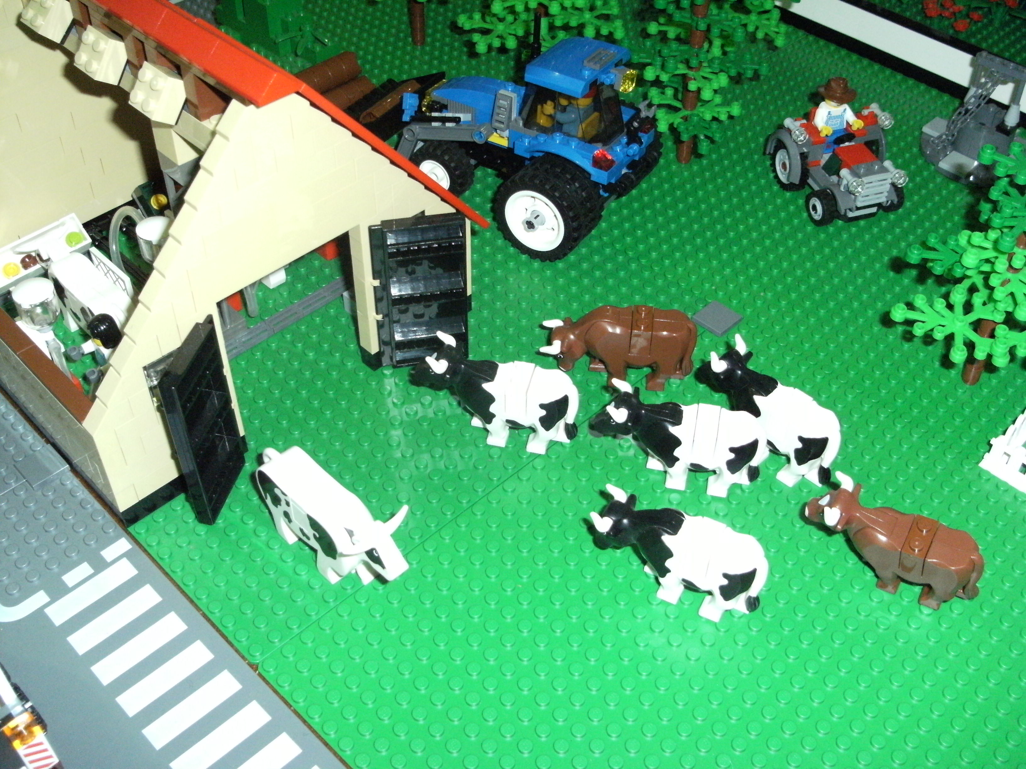 dscf2107.jpg
