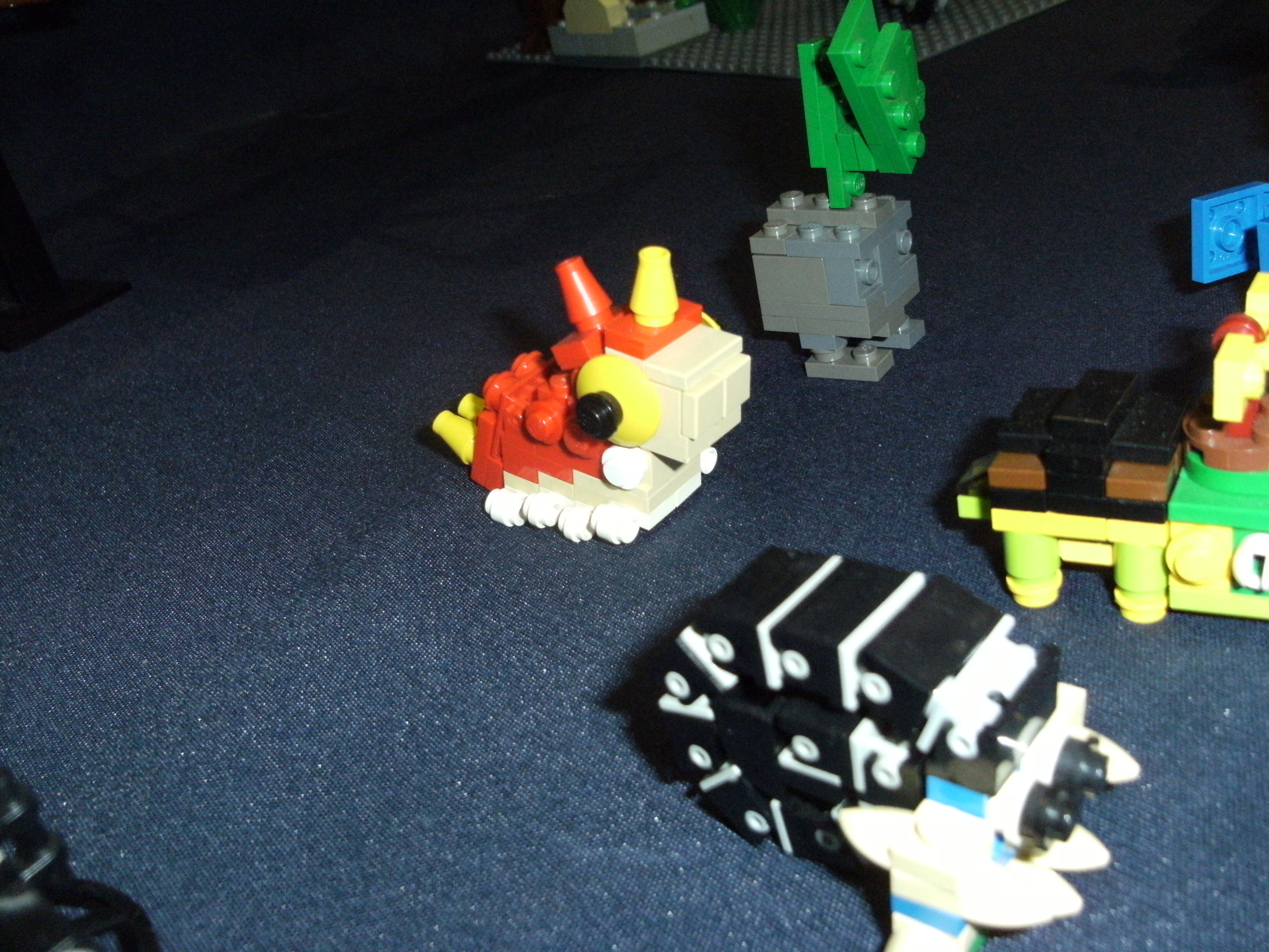 dscf2138.jpg