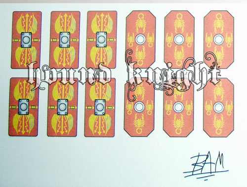 romanshield_store01.jpg