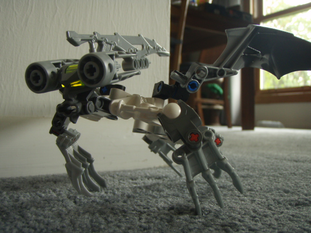 p9050487.jpg